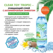 Очищающий спрей для игрушек CLEAR TOY Tropic - 100 мл. - Биоритм - купить с доставкой в Новокузнецке