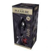 Серебристая анальная втулка Mini Metal Butt Plug Size M с красным кристаллом - Adrien Lastic в Новокузнецке Серебристая анальная втулка Mini Metal Butt Plug Size M с красным кристаллом - Adrien Lastic