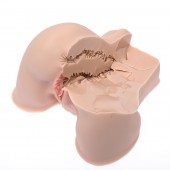 Мастурбатор-полуторс Naked Factory Kate - Naked Factory - в Новокузнецке купить с доставкой