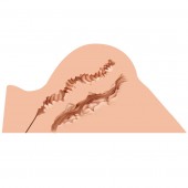 Мастурбатор-полуторс Naked Factory Hannah - Naked Factory - в Новокузнецке купить с доставкой