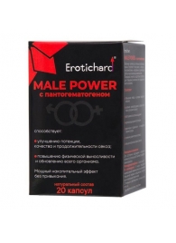 Капсулы для мужчин Erotichard male power с пантогематогеном - 20 капсул (0,370 гр.) - Erotic Hard - купить с доставкой в Новокузнецке