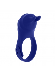 Синее эрекционное виброкольцо с клиторальной подушечкой и пультом ДУ Adjustable Fun Ring - Zero Tolerance - в Новокузнецке купить с доставкой