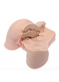 Мастурбатор-полуторс Naked Factory Kate - Naked Factory - в Новокузнецке купить с доставкой