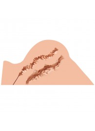 Мастурбатор-полуторс Naked Factory Hannah - Naked Factory - в Новокузнецке купить с доставкой