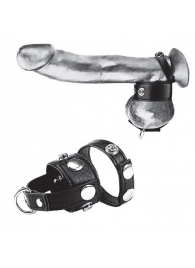 Утяжка для мошонки и пениса Cock Ring With 1  Ball Stretcher And Optional Weight Ring - BlueLine - купить с доставкой в Новокузнецке