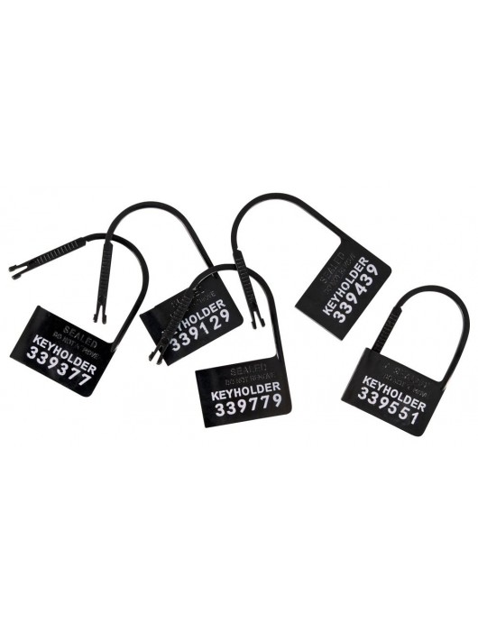 Набор для мужского пояса верности Cock Cage Set - Orion - купить с доставкой в Новокузнецке