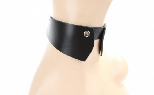 Оригинальный чокер воротничок-стойка - БДСМ Арсенал - купить с доставкой в Новокузнецке