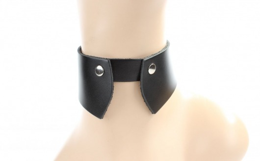 Оригинальный чокер воротничок-стойка - БДСМ Арсенал - купить с доставкой в Новокузнецке