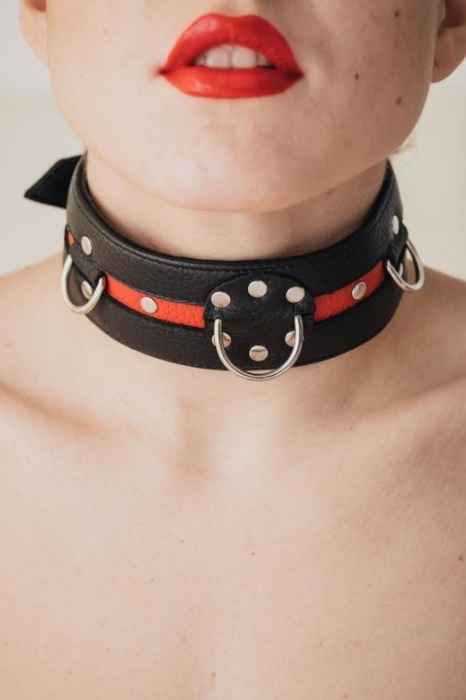 Черно-красный ошейник на пряжке - БДСМ Арсенал - купить с доставкой в Новокузнецке