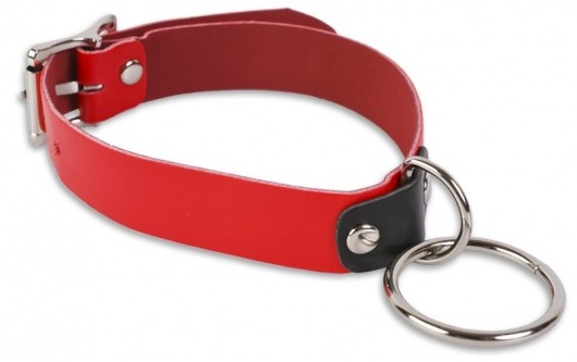 Красный ошейник с колечком - Пикантные штучки - купить с доставкой в Новокузнецке