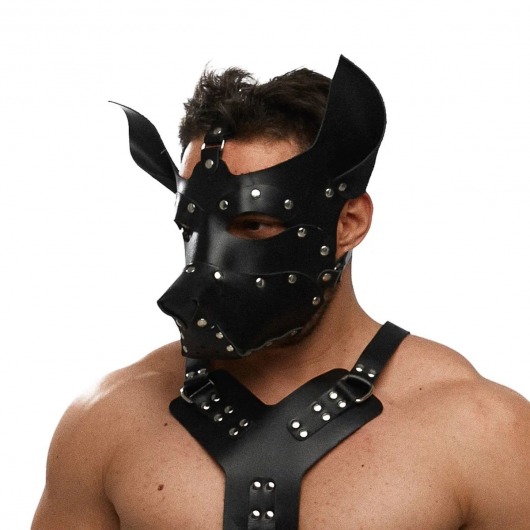 Черная кожаная маска «Собака» - Crazy Handmade - купить с доставкой в Новокузнецке Черная кожаная маска «Собака» - Crazy Handmade - купить с доставкой в Новокузнецке