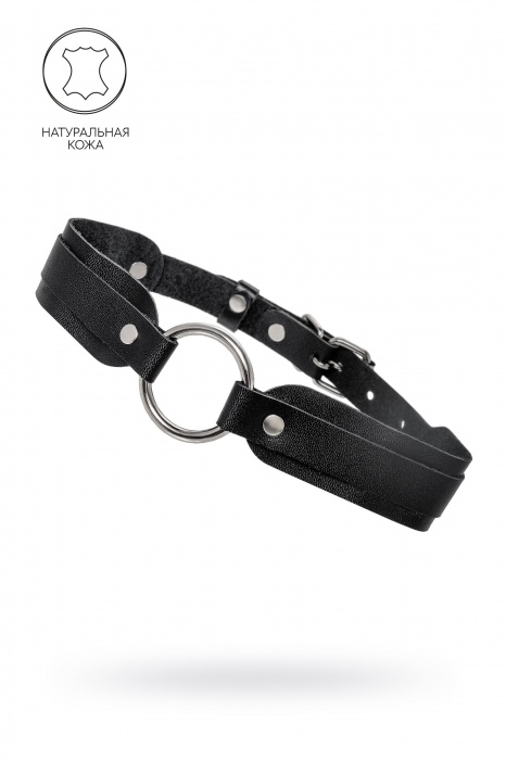 Черный кожаный чокер-ошейник со скруглёнными углами - Pecado - купить с доставкой в Новокузнецке