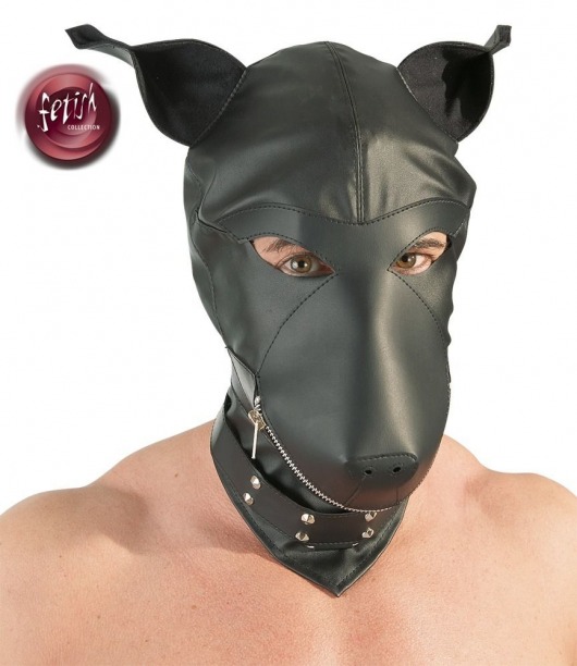 Шлем-маска Dog Mask в виде морды собаки - Orion - купить с доставкой в Новокузнецке