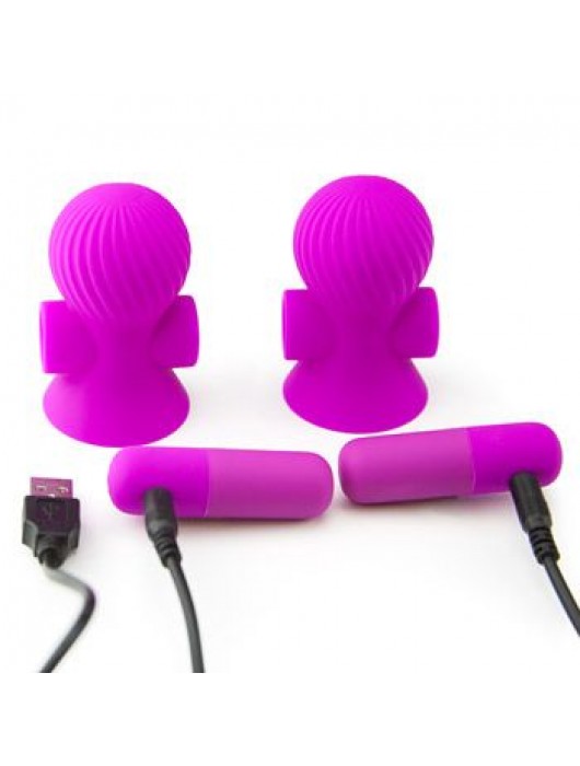 Лиловые перезаряжаемые вибростимуляторы для груди - Baile