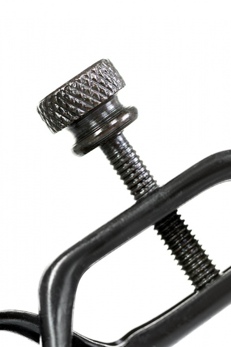 Черно-золотистые зажимы для сосков TOYFA Theatre - ToyFa - купить с доставкой в Новокузнецке