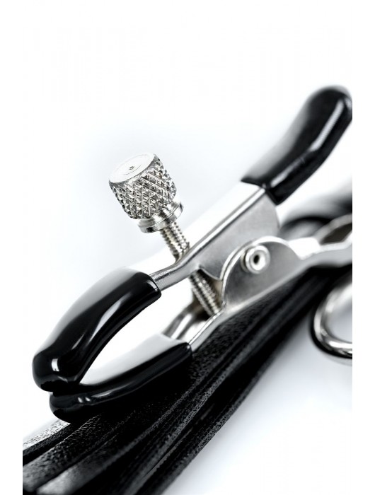 Черно-серебристые зажимы для сосков Theatre с кисточками - ToyFa - купить с доставкой в Новокузнецке